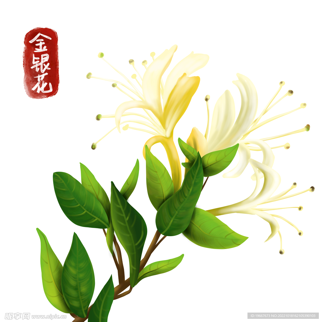 中药