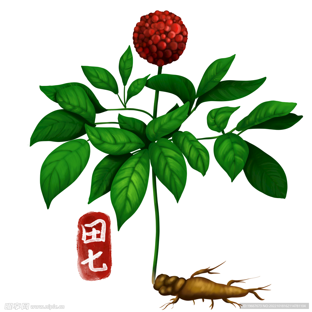中药