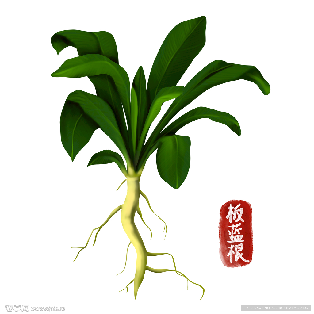 中药