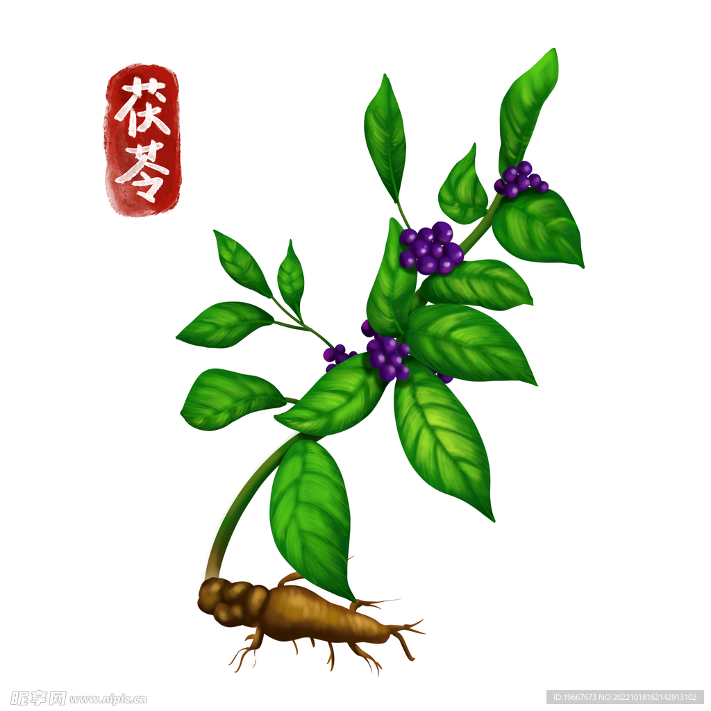 中药
