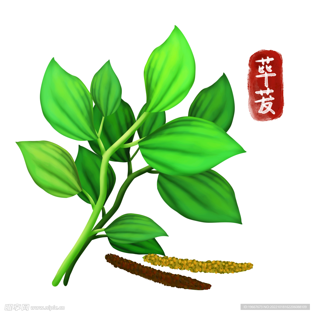 中药