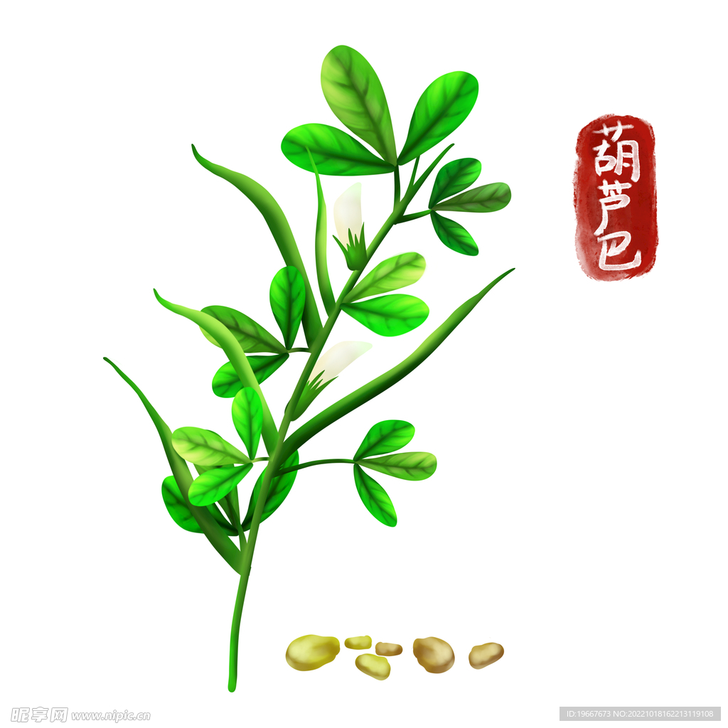 中药