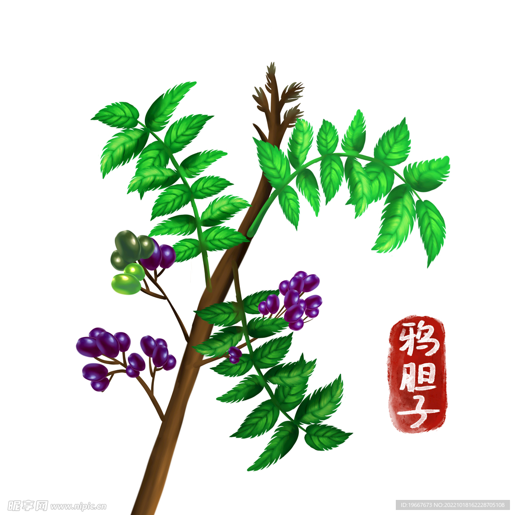 中药