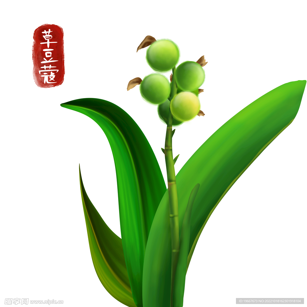 中药