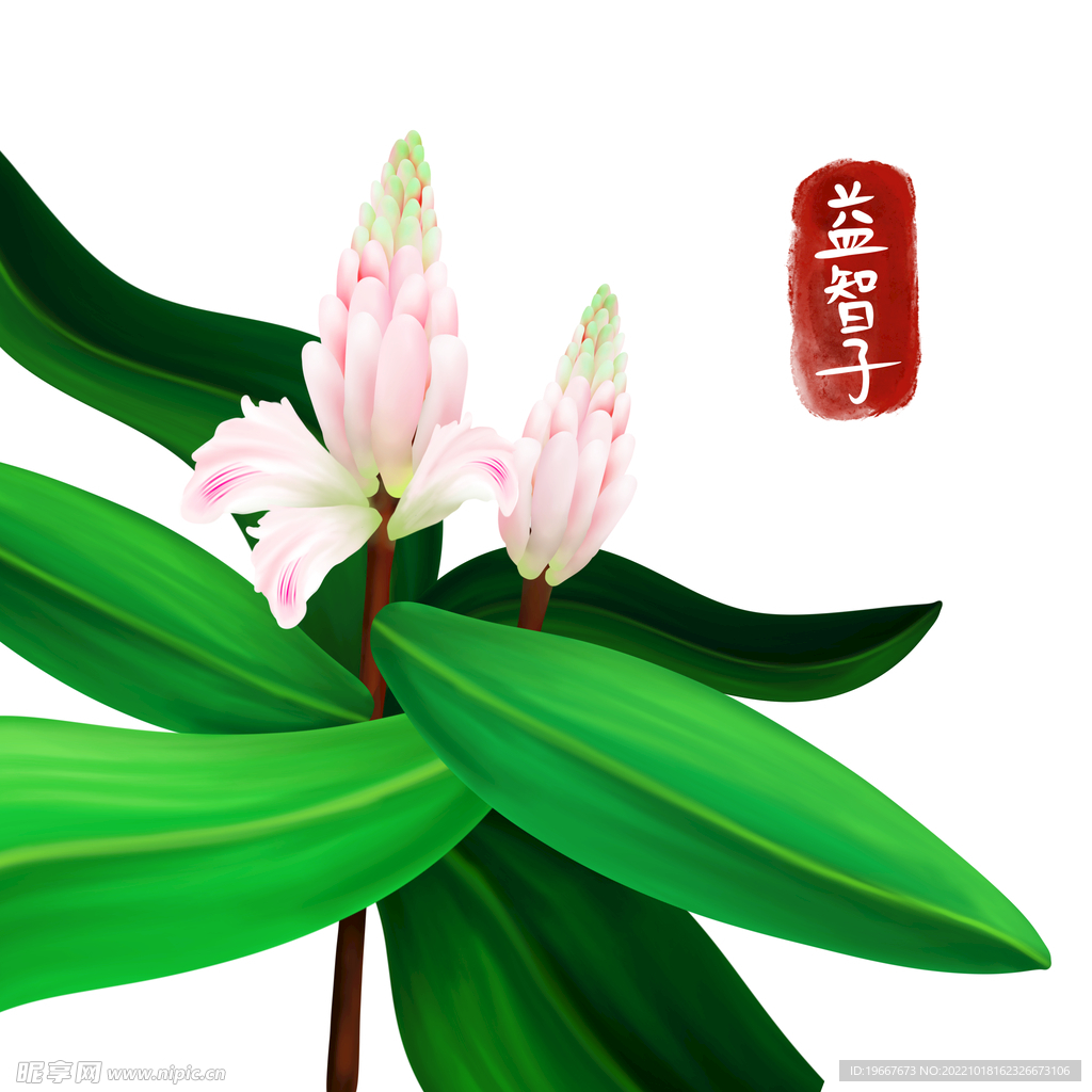 中药
