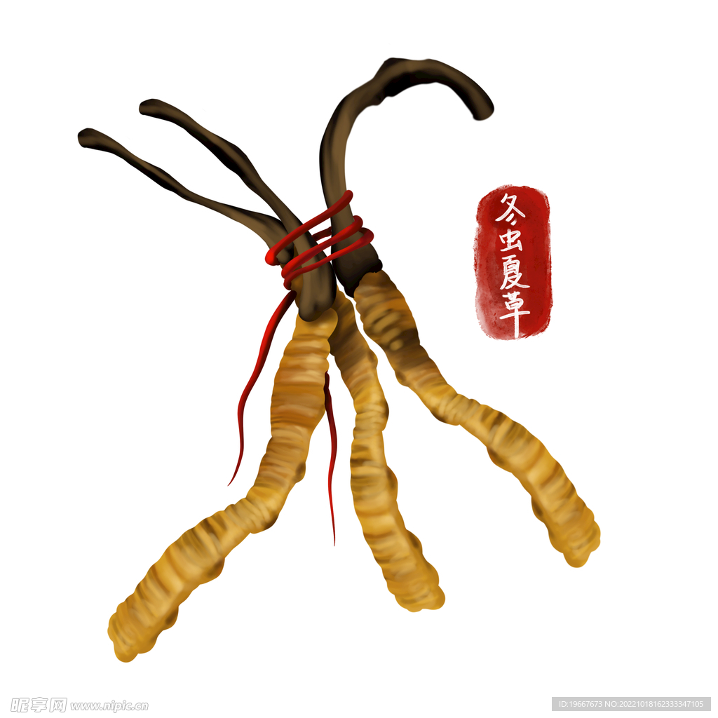 中药