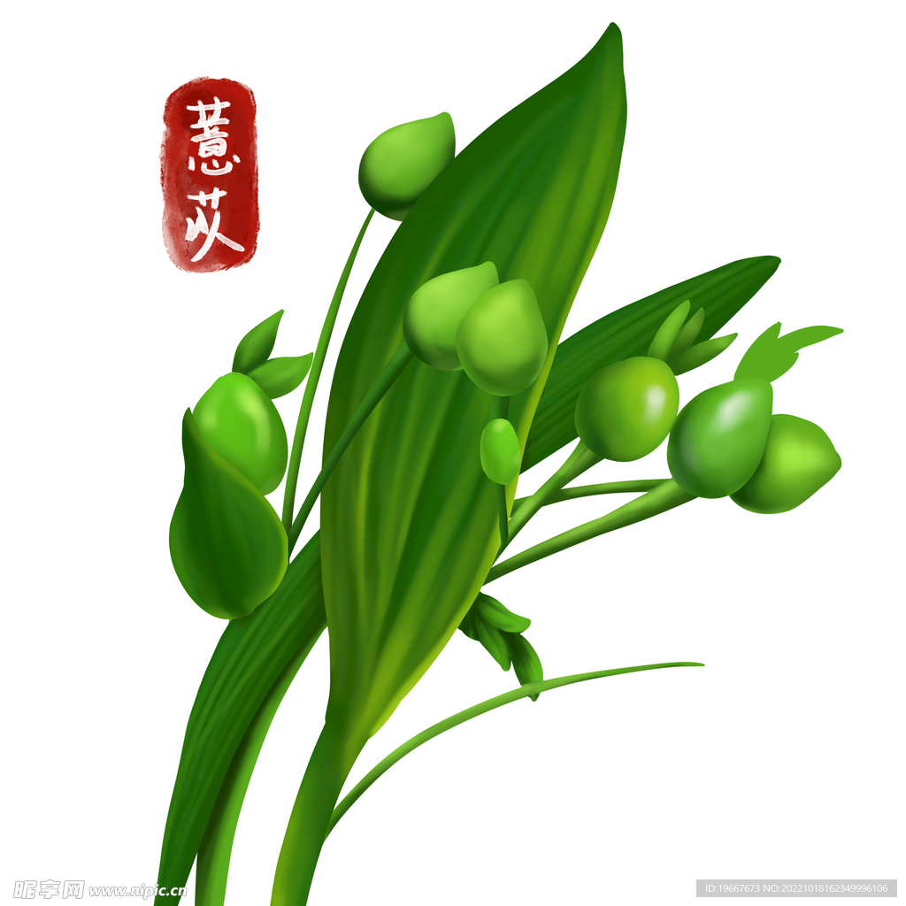 中药
