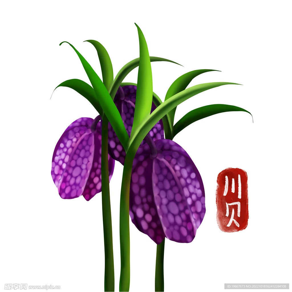 中药