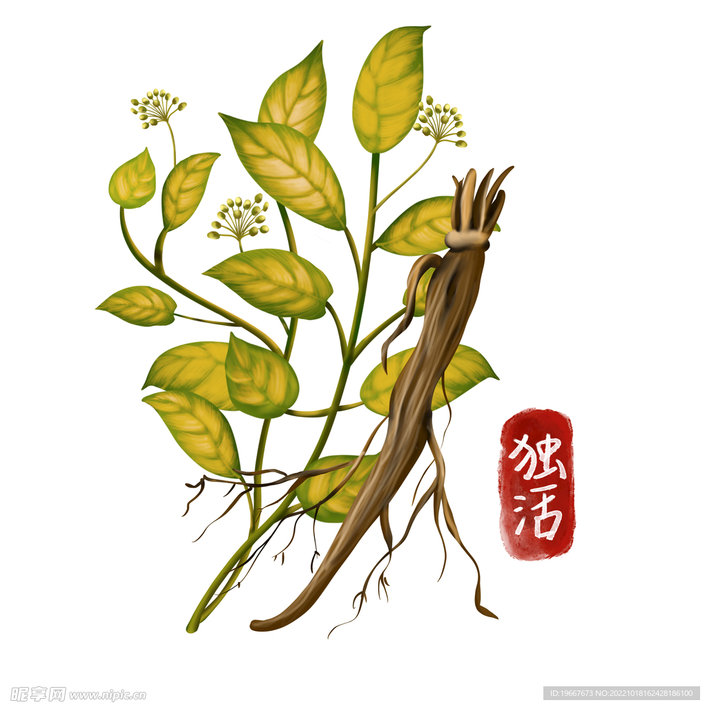中药