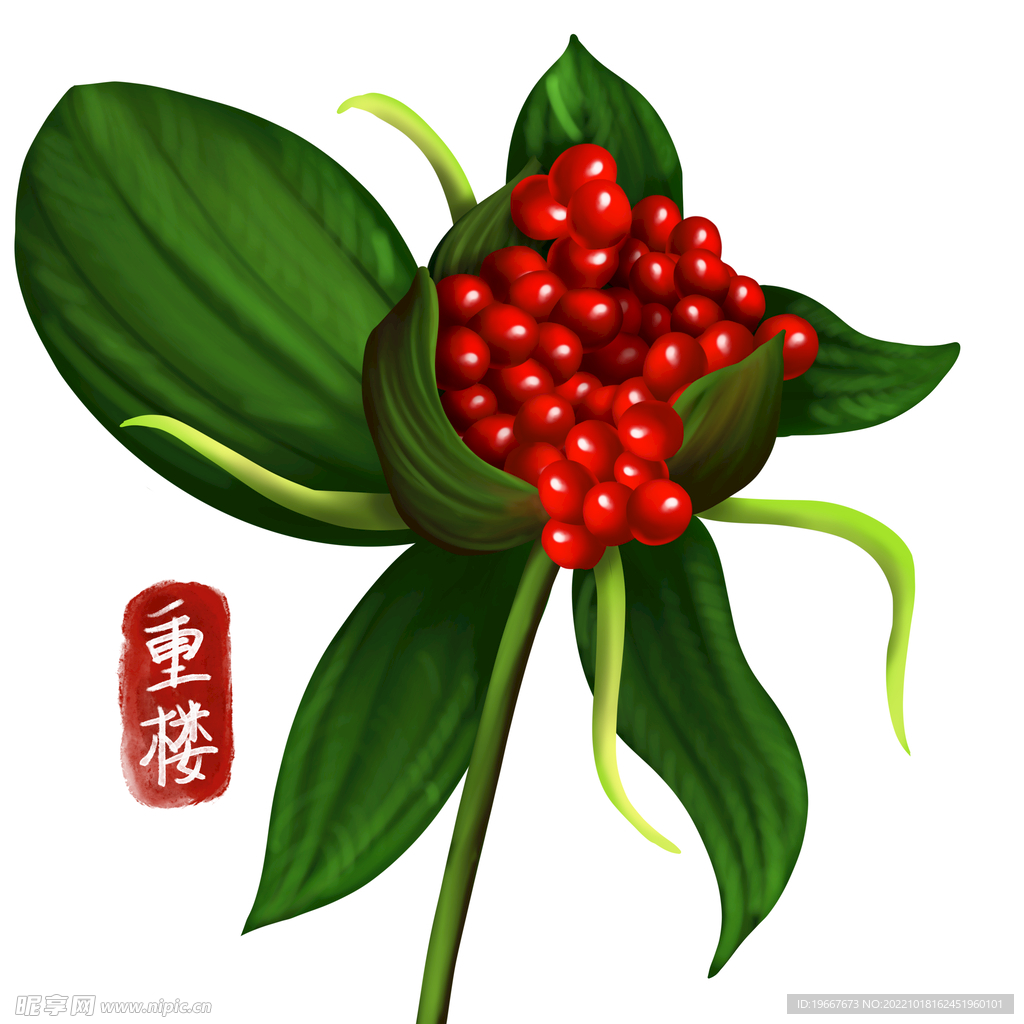 中药