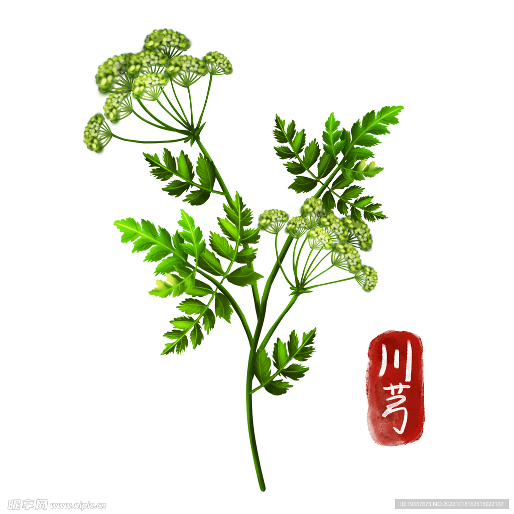 中药