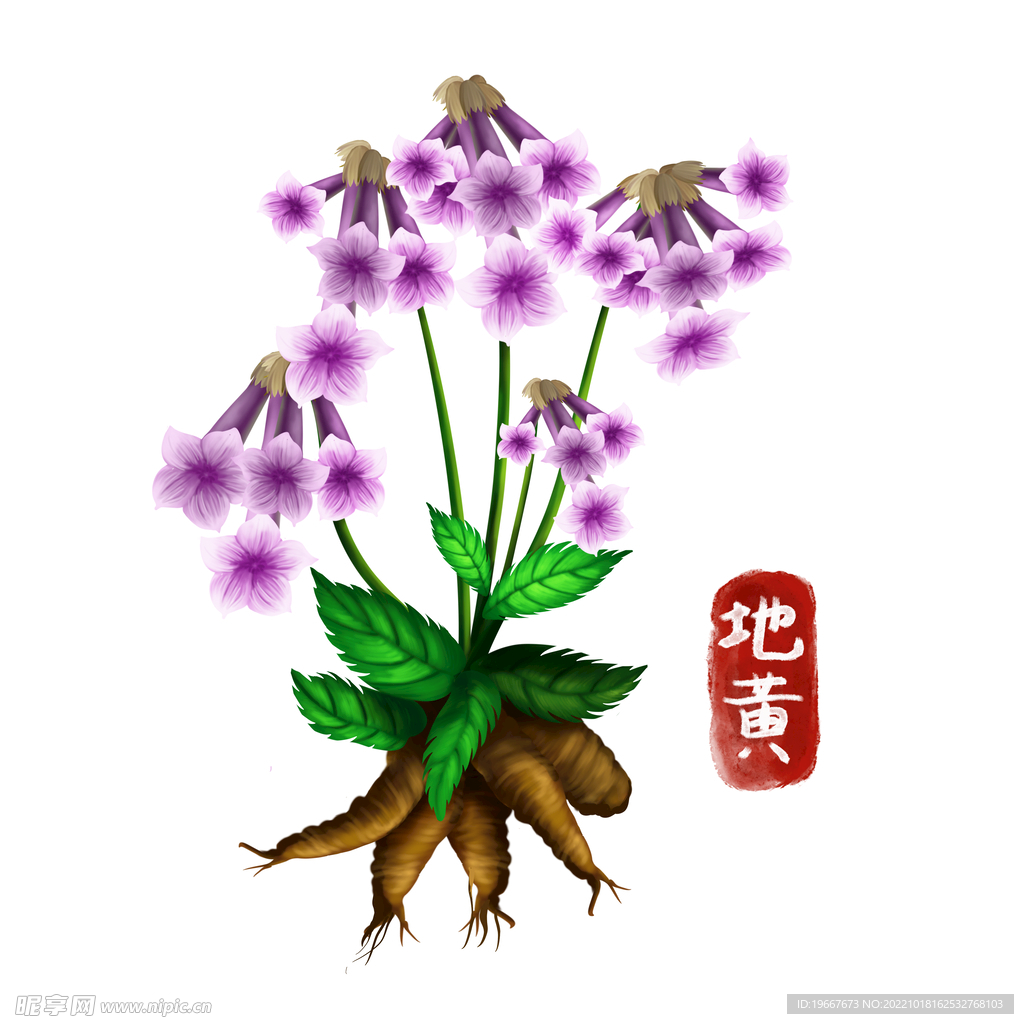 中药