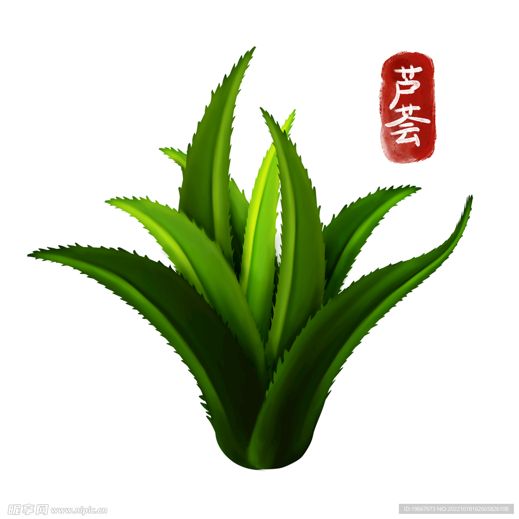 中药