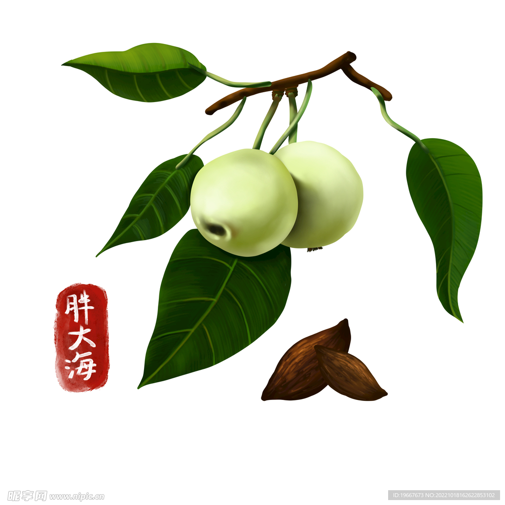 中药
