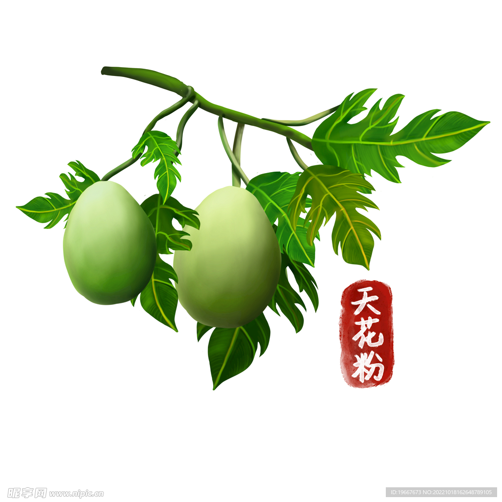 中药
