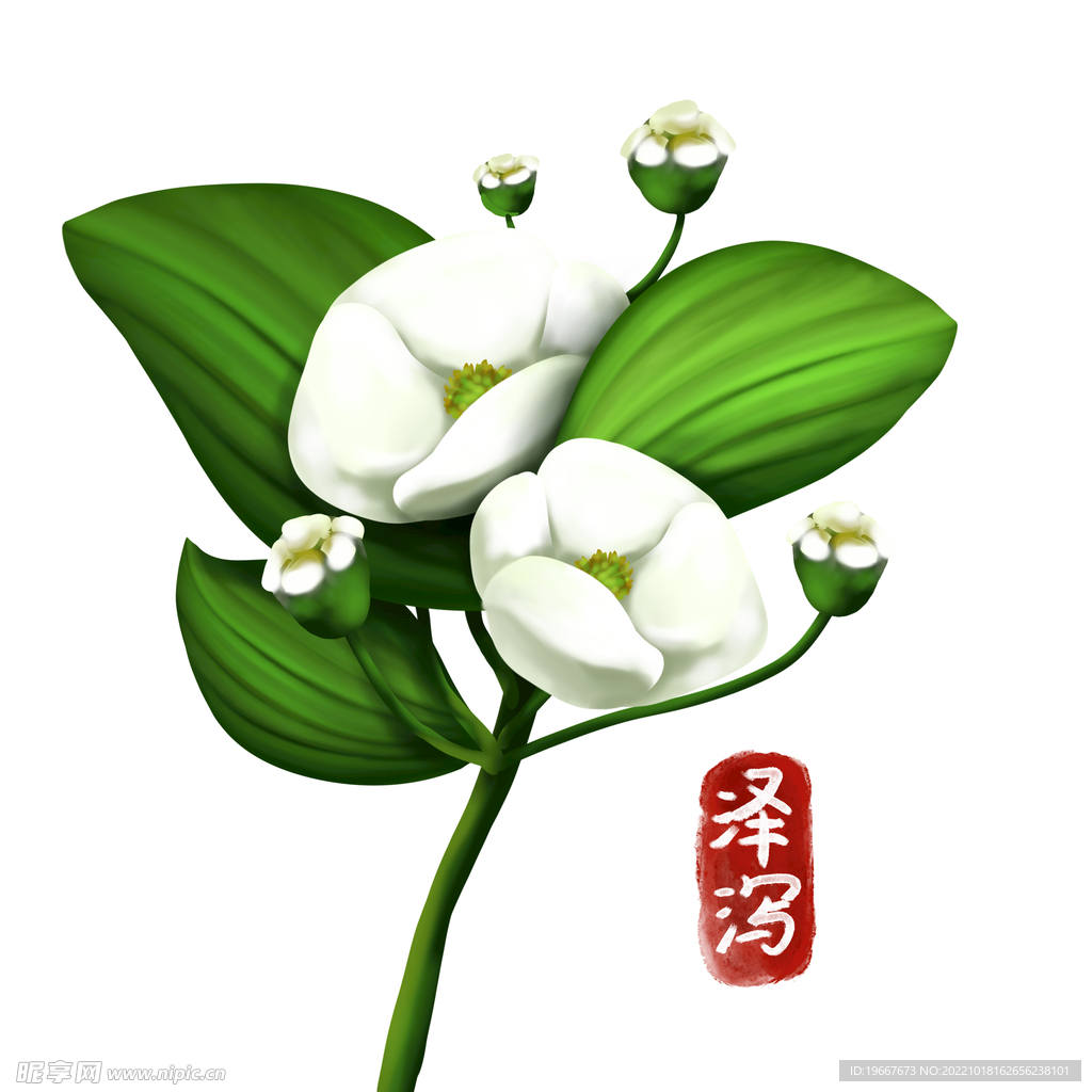 中药