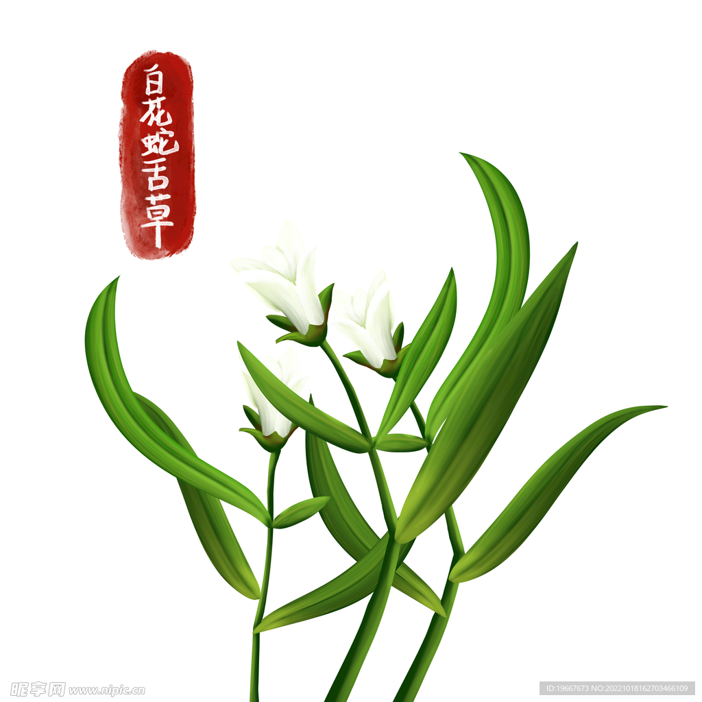 中药