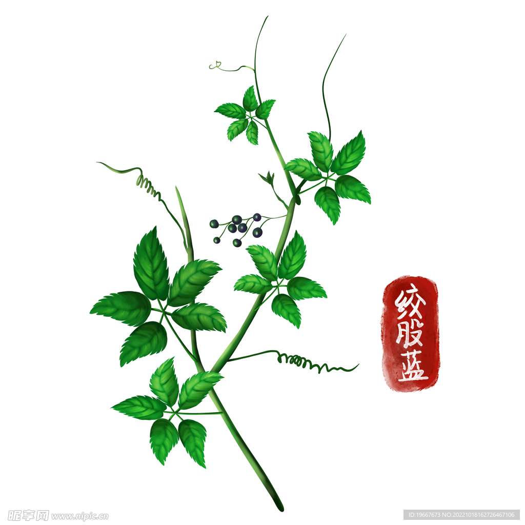 中药