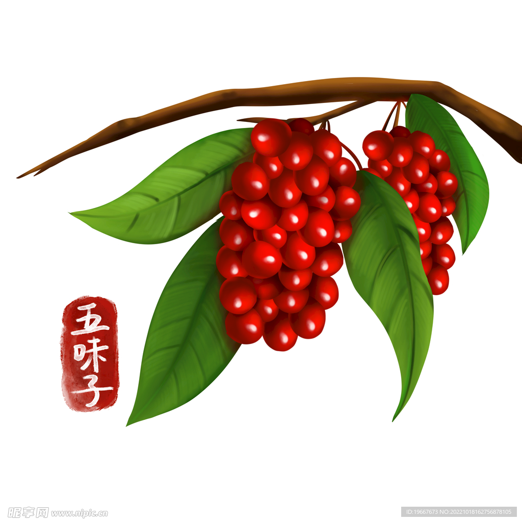 中药