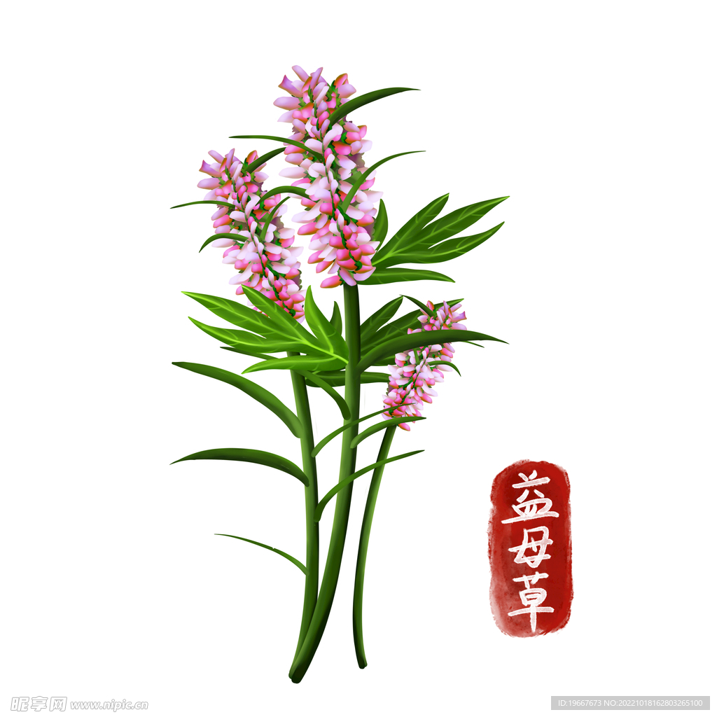 中药