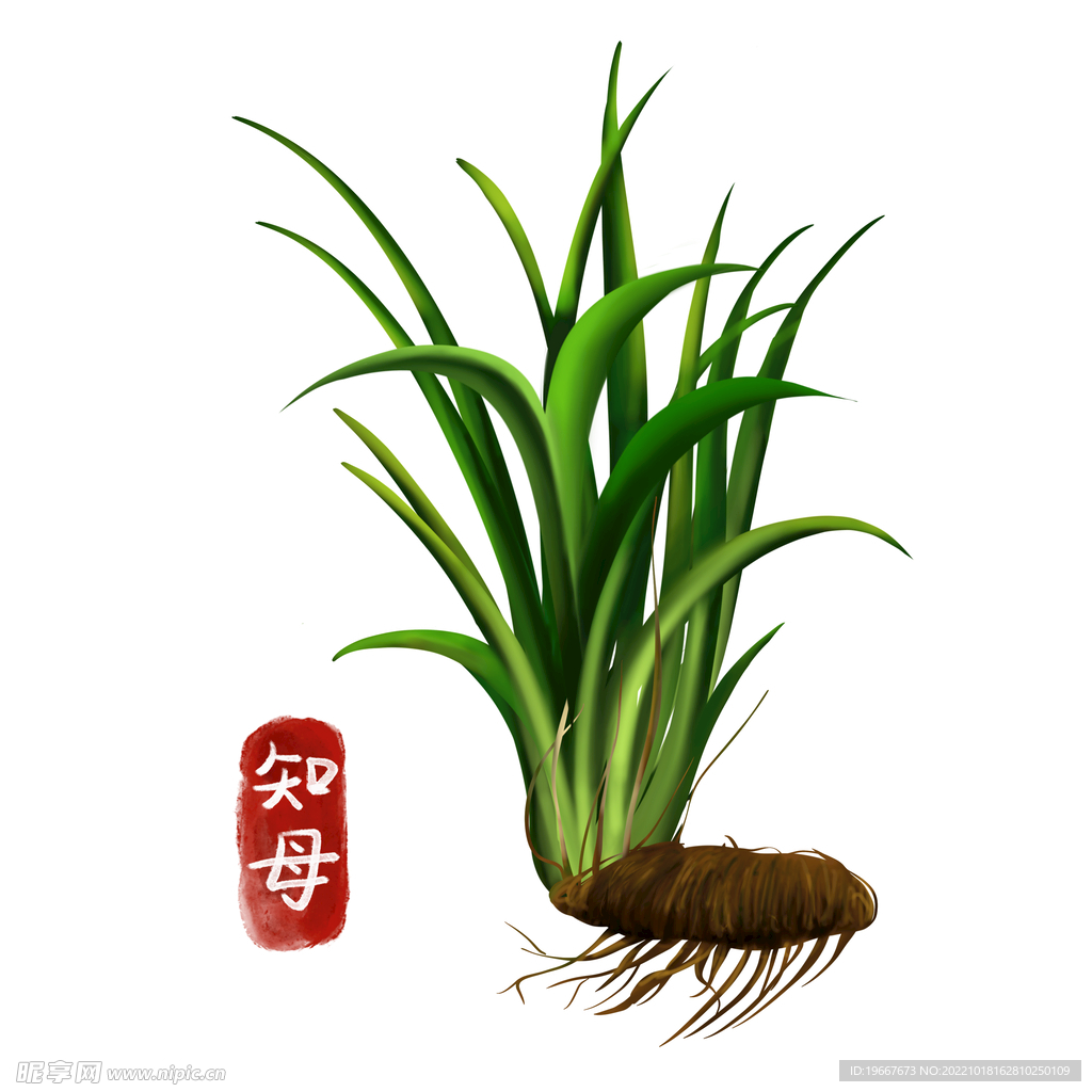 中药