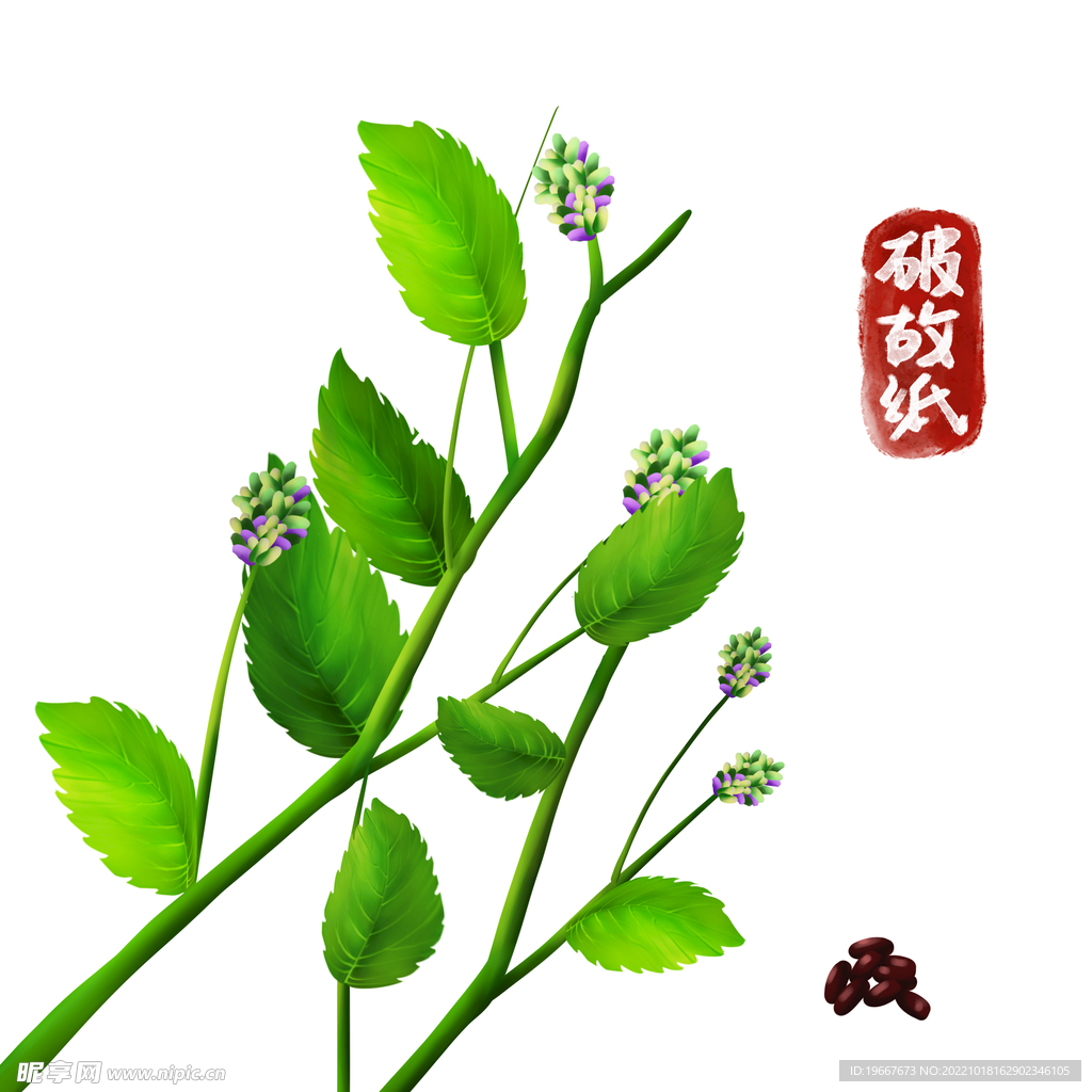 中药