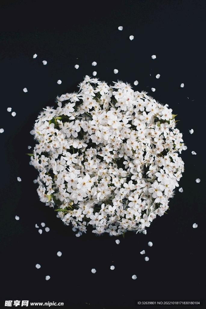小白花