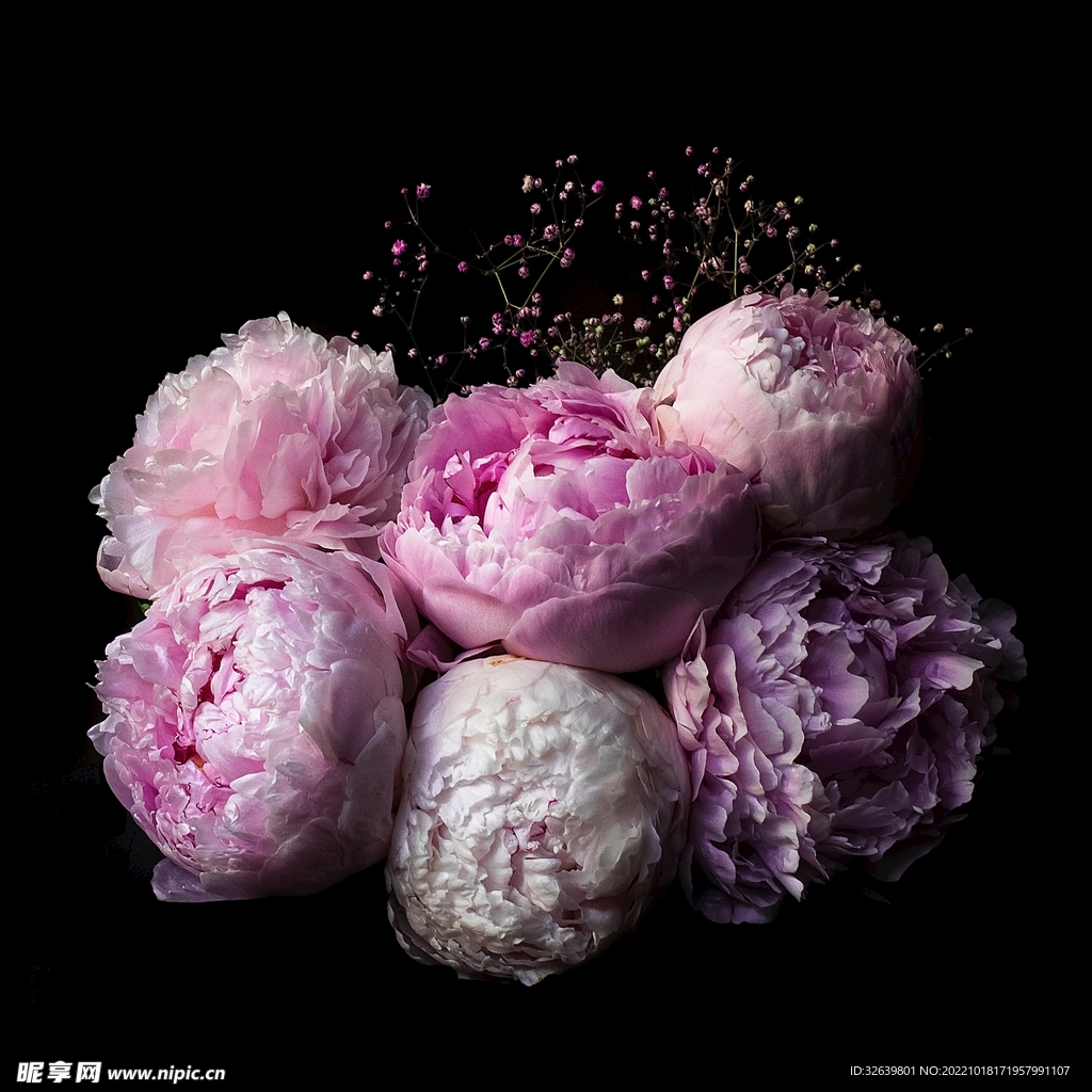 粉色的花