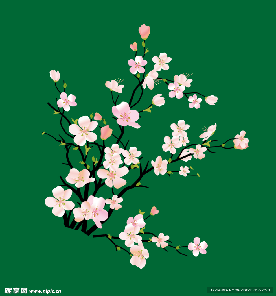 矢量梅花