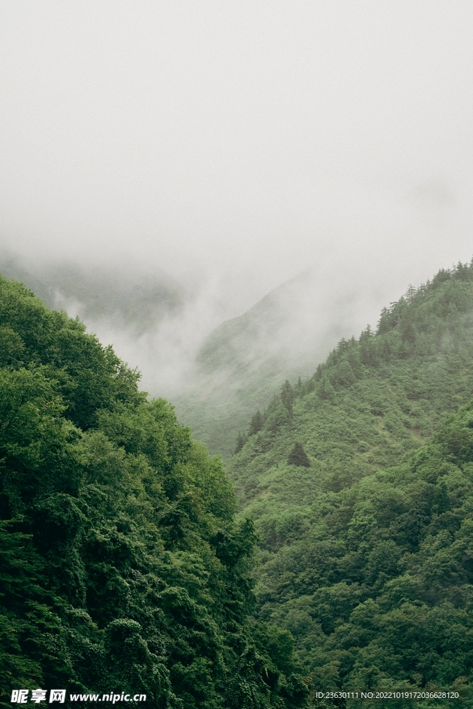 山林