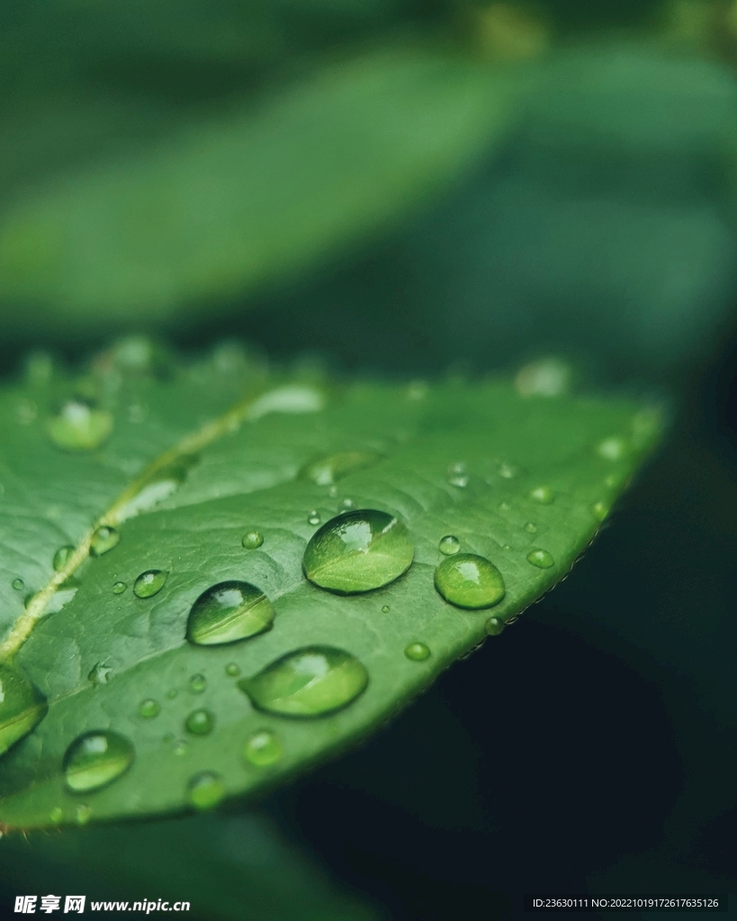 水珠