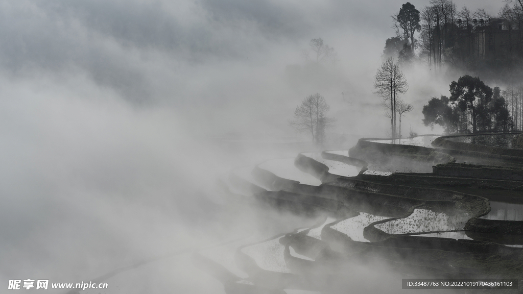 红河水稻梯田