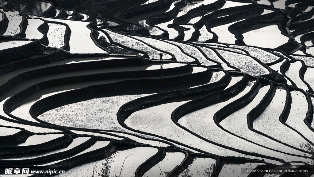 红河水稻梯田