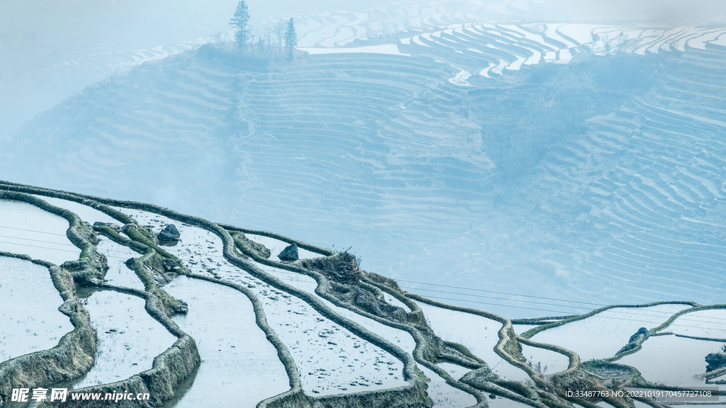 红河水稻梯田 