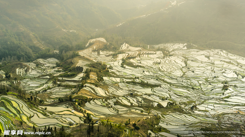 红河水稻梯田 