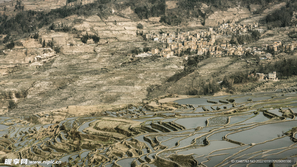 红河水稻梯田 