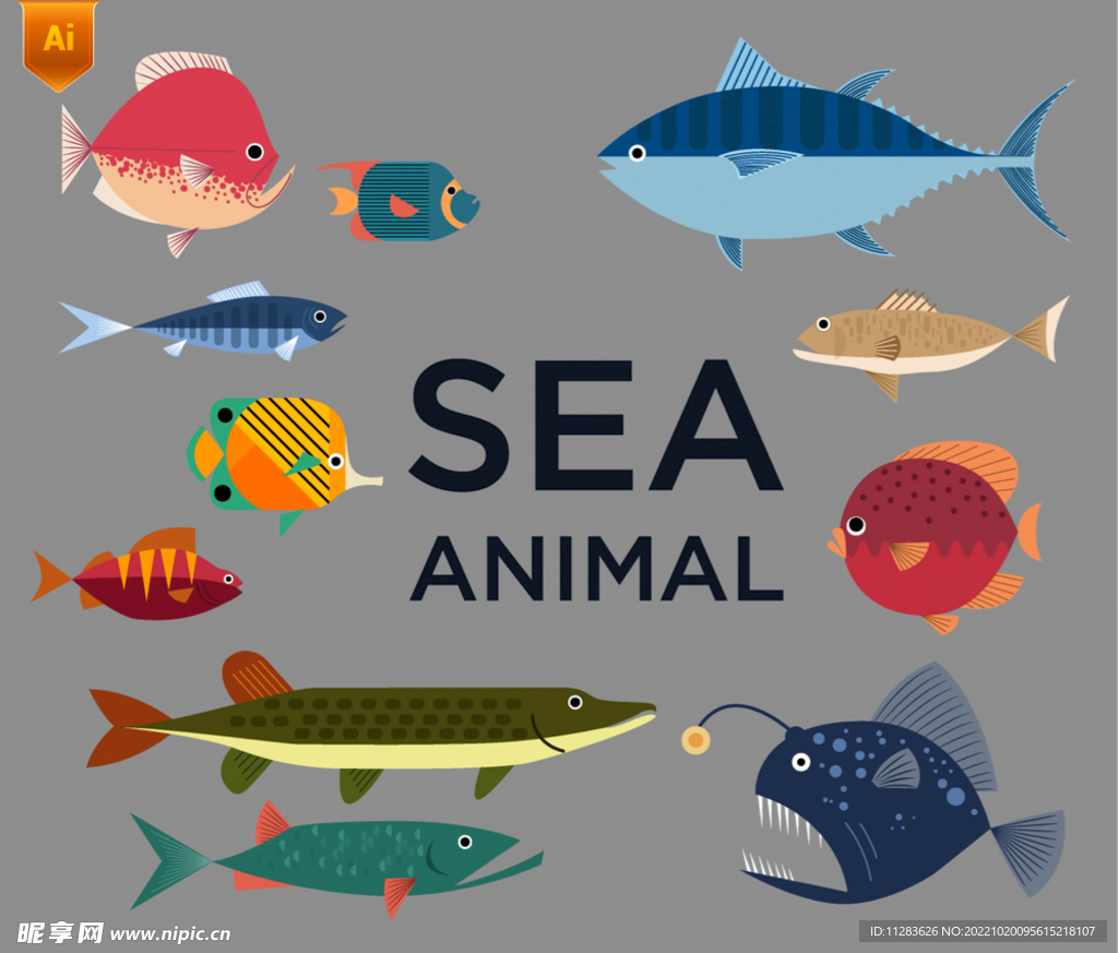卡通海洋鱼类插画