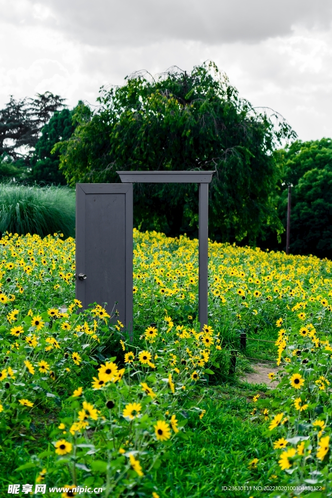 花田