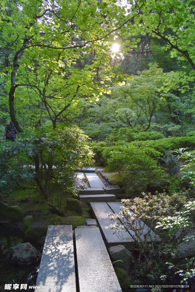 园林景观