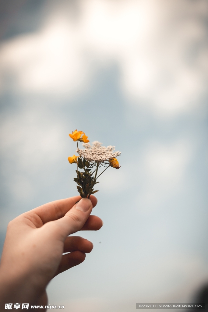 手拿鲜花