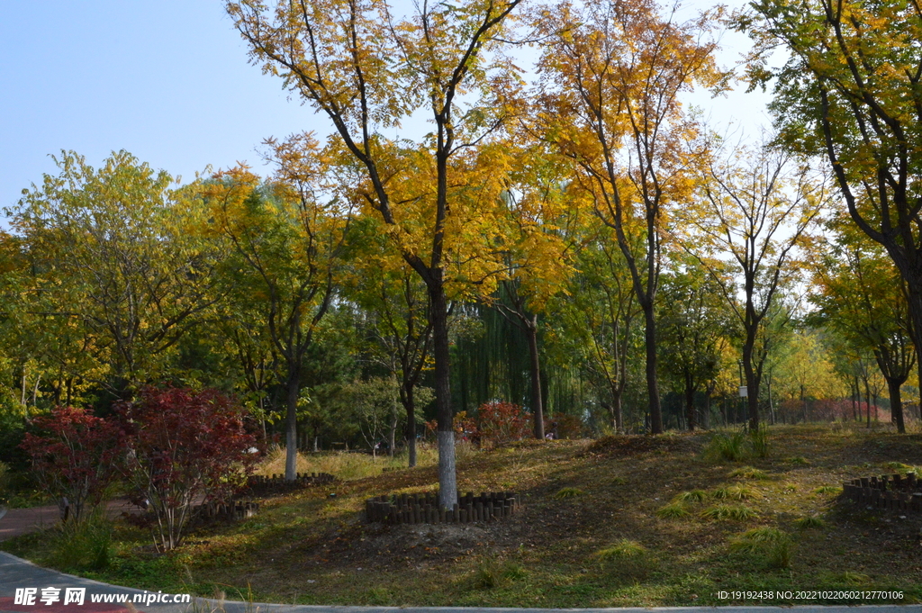 莲花池风景