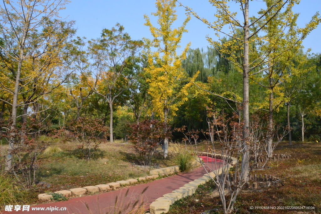 莲花池风景 