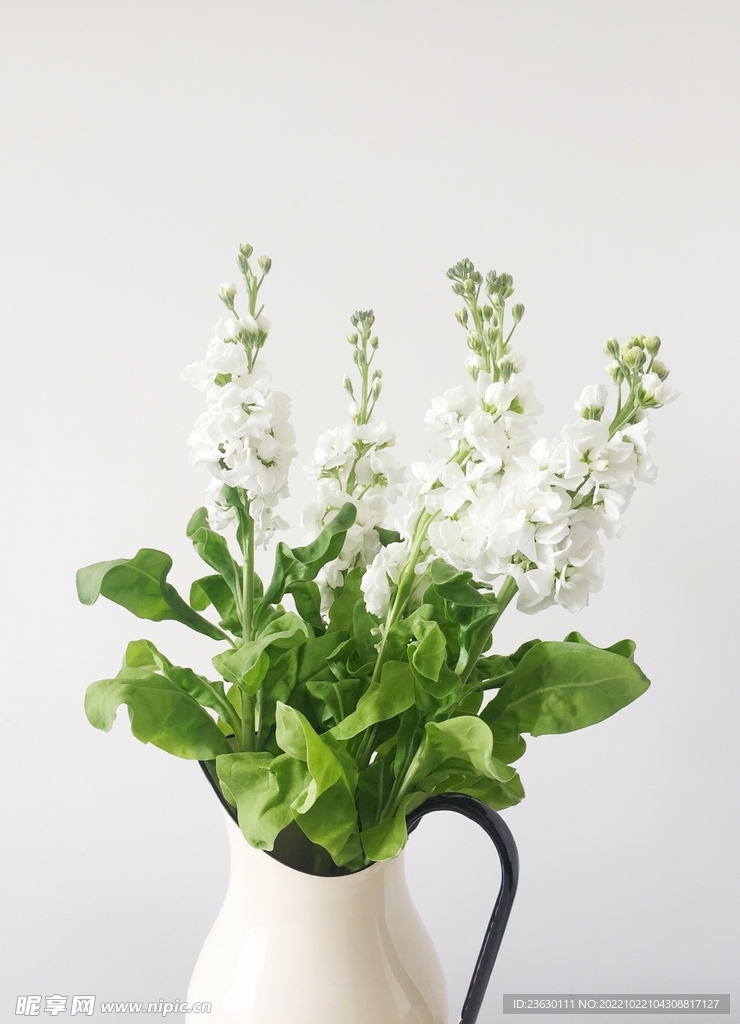 花草