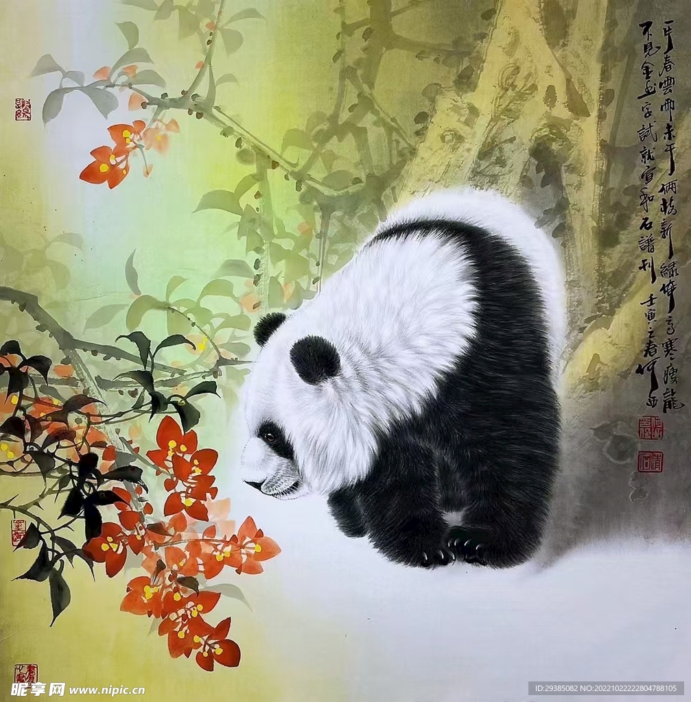 熊猫