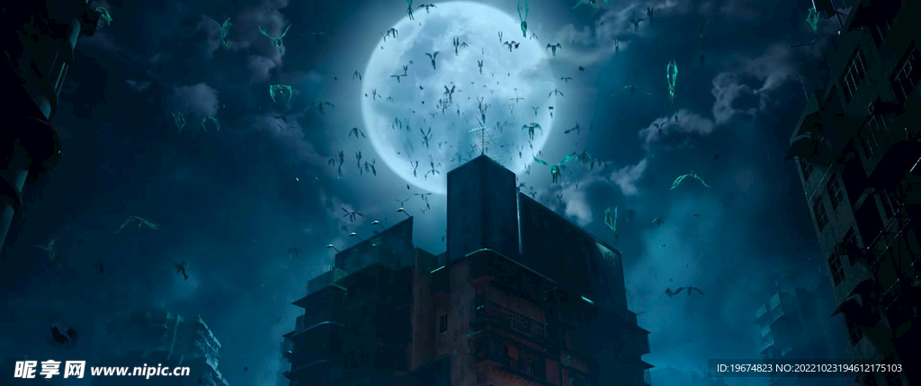 壁纸 月下