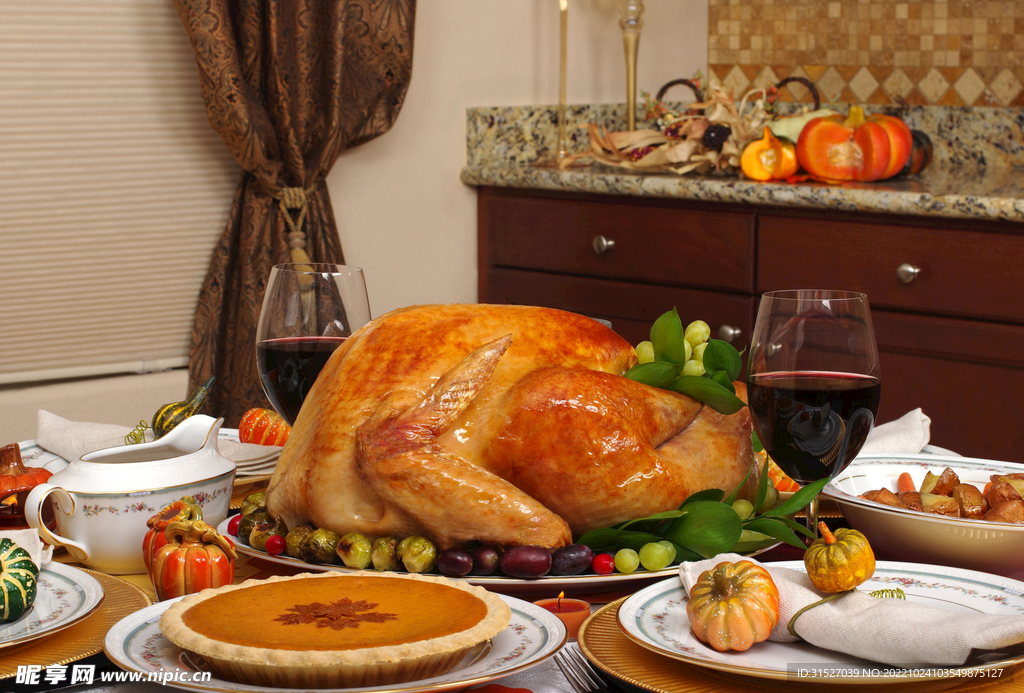 感恩节火鸡特写