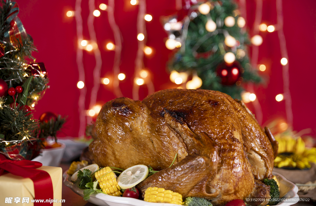 感恩节火鸡摄影图