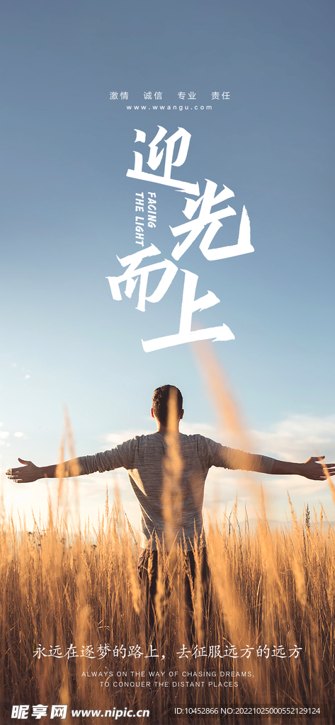 迎光而上