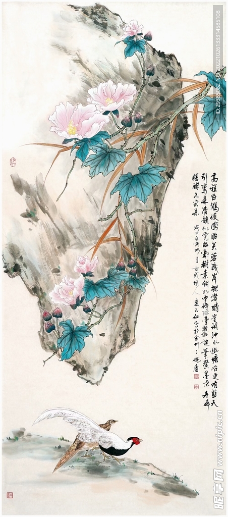 高植白鹳