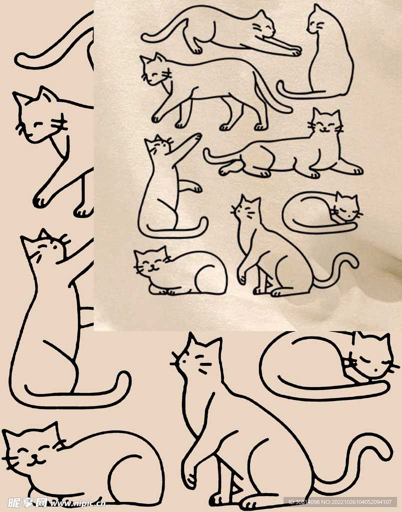 猫